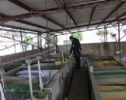 ���^���I��ˮˎ�����麣ӡȾ��ˮ̎������ˮ̎�����g