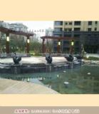 ��Ȫ����_�@�ֵ���_ʢ�����ܹ�ˇƷ