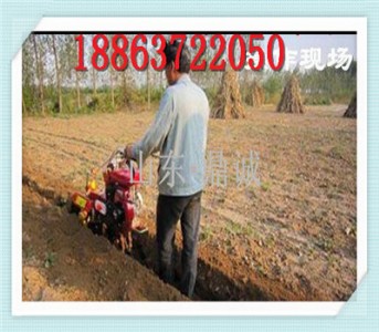 �����C��̖����C�r���_�Ϙ���ϲ������C