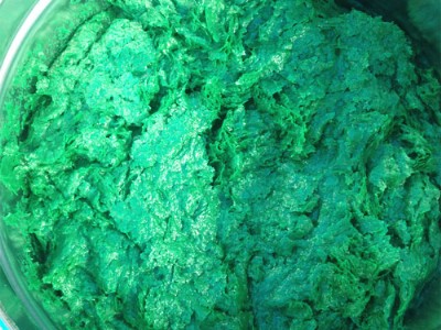 �����[Ƭ�z�����a�S��