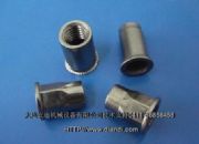 �����T��ĸ