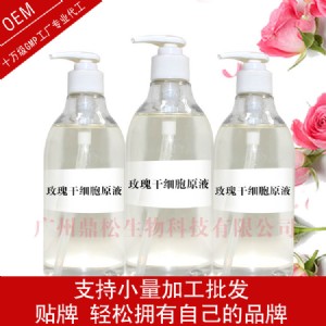 玫瑰干細胞原液除皺抗衰保濕增強肌膚活力oem代加工