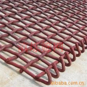 ������ӺY�W�S��ֱ�N12