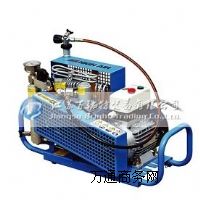 ������yʽ�����