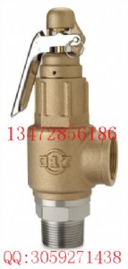 �_��317���~��ȫ�ysv-b29��s3w-lr