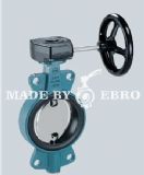 �������_z411-a�u݆���y