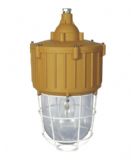 sbd3107�����͑���������