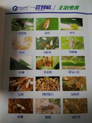 ���ˎ�ʚ������x���Y(ji��)���x�N��ϓ�