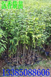 ������ ��������� ������N�� ��������