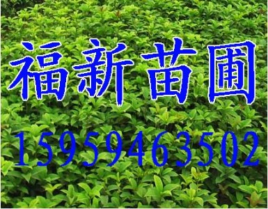 �𻨘��� �𻨷N��  ���� �����l