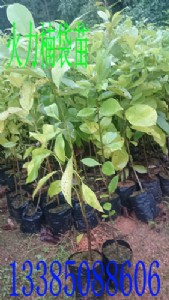 ����骘��� ����骷N�� ������� ���㺬Ц�� ����骴���