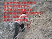 ���ӾW��ˮ���ӾW�S�ң��������ӷ��o�W���l