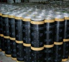 ���u�͸��g��������ճ��ˮ����  ʥ����