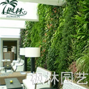 �S��ֱ�I�����ƺ�̈����خa�ęn�Gֲ��ƺ�������ϲ�ƺֲ�