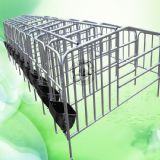 �̓r�����i�ö�λ�ڟ���\���˹�ĸ�i��̥��λ�ڶ����X