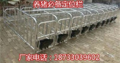 ���|���i�ö�λ�� ��̥ĸ�i��