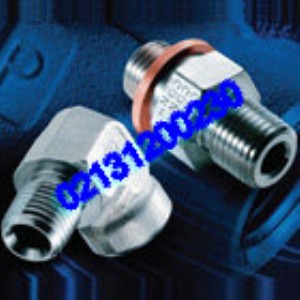 ����PARKER�ݼy���^ �Ϻ��ɿ�