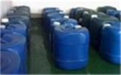 �������νM�ݹ��z�x�̈́�