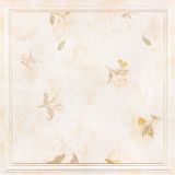 �L���л����ɵ�� �e�������X�۰� �мѼ��ɵ�피���