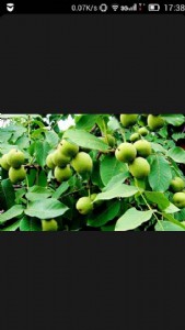 ���T�Ϻ������������ИI(y��)څ��