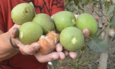 ���T�Ϻ�����������185��������|���l