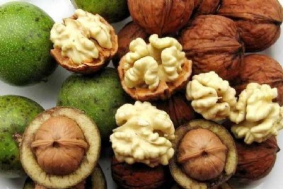 ���T�Ϻ���������Ƥ���ұ����м���