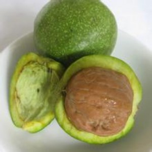 ���T�Ϻ���������Ƥ���ҡ�����ζ����