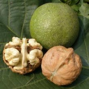 ���T�Ϻ��������r����ƤҲ���@�ӵĹ�Ч