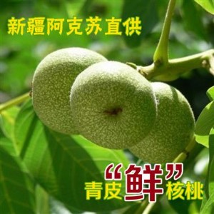 ���T�Ϻ��������r�������l(f��)��08