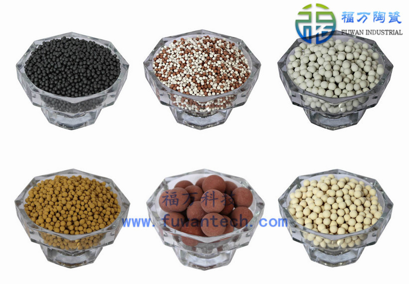 �{�ױ�+������ - ����