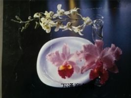 ��������������ӡ�C һ�C���� ��N���|ӡˢ �¸�ӡˢ�Cе