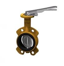 �M�ډ��s�՚���y