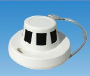 GA���Ђ��b�͔z��C