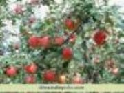 �����O���� �O�������l �O����r��(�D)