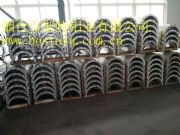 �X�Ͻ����w����