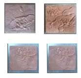 ��ɰ����ڮ��ڒ졪���ɻ�