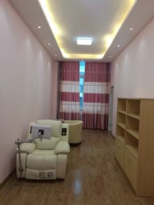 ��������ϵ�ЮaƷ�Ľ��O����