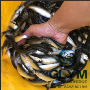 ���V�݇�(li��n)�~�硿���I(y��)��(y��u)�|(zh��)�~������V