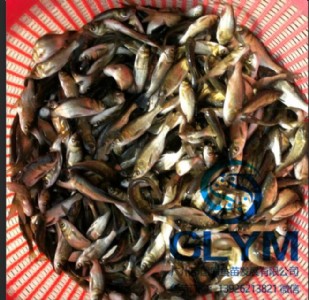 ���V�݇��~�硿���I���|�~�绨���~�����~����^�~��