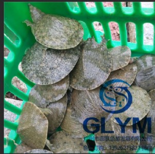 �~���N�� ˮ�~���_�~��