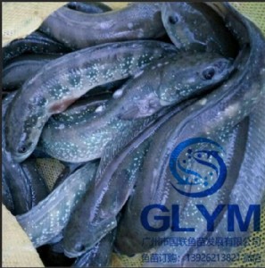 �x���~(y��)����ÏV�݇�(gu��)(li��n)�~(y��)��Q���~(y��)�绨���~(y��)��