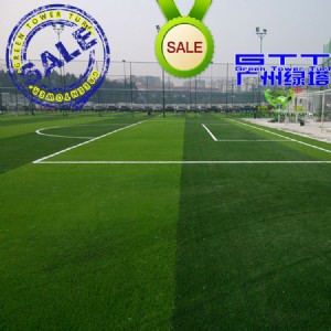 �S��ֱ�N�����ƺ �׃��@�WУ���z�ܵ������ƺ�������ƺ�����