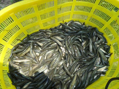 ���~���Bֳ�����~��r�񣬺��~�����l