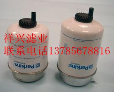 p502423�Ƽ{ɭ���͞Vо���a�S��