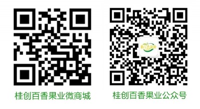 ���ݰ���������У����ݰ�������l�r���N�ۣ��V��Խ�ϰ�����a��