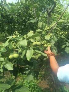 ���������l