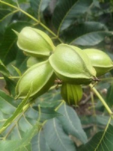 �����̸����� �Ͳ��ں��r�I