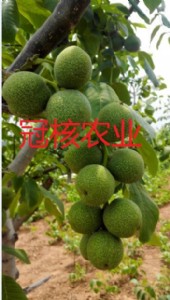 ��Ƥ������S�����l(f��)