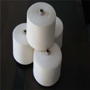 26s�h�V�����켆 ��]��26֧