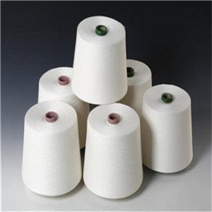 21s���޼�T80/C20 �h(hu��n)�V��21֧���޼�